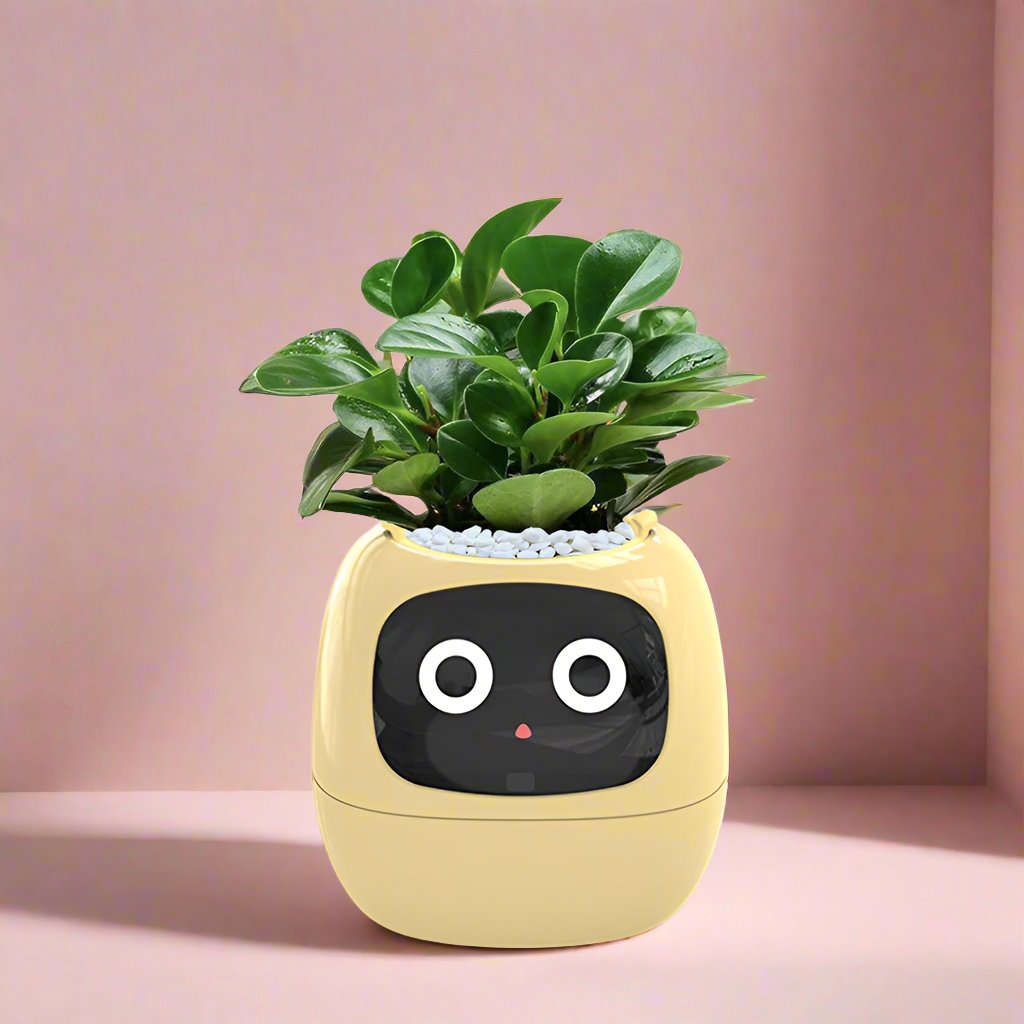 Ivy Smart pot