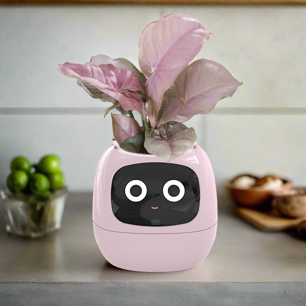 Ivy Smart pot