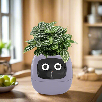 Ivy Smart pot