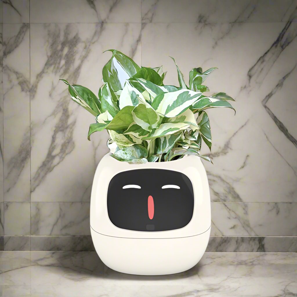 Ivy Smart pot