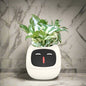 Ivy Smart pot