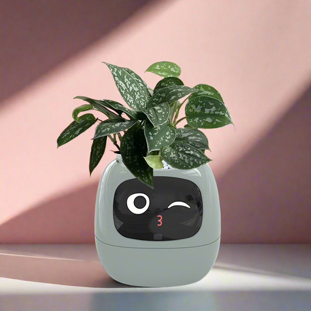 Ivy Smart pot