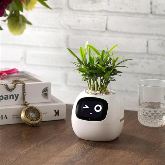 Ivy Smart pot