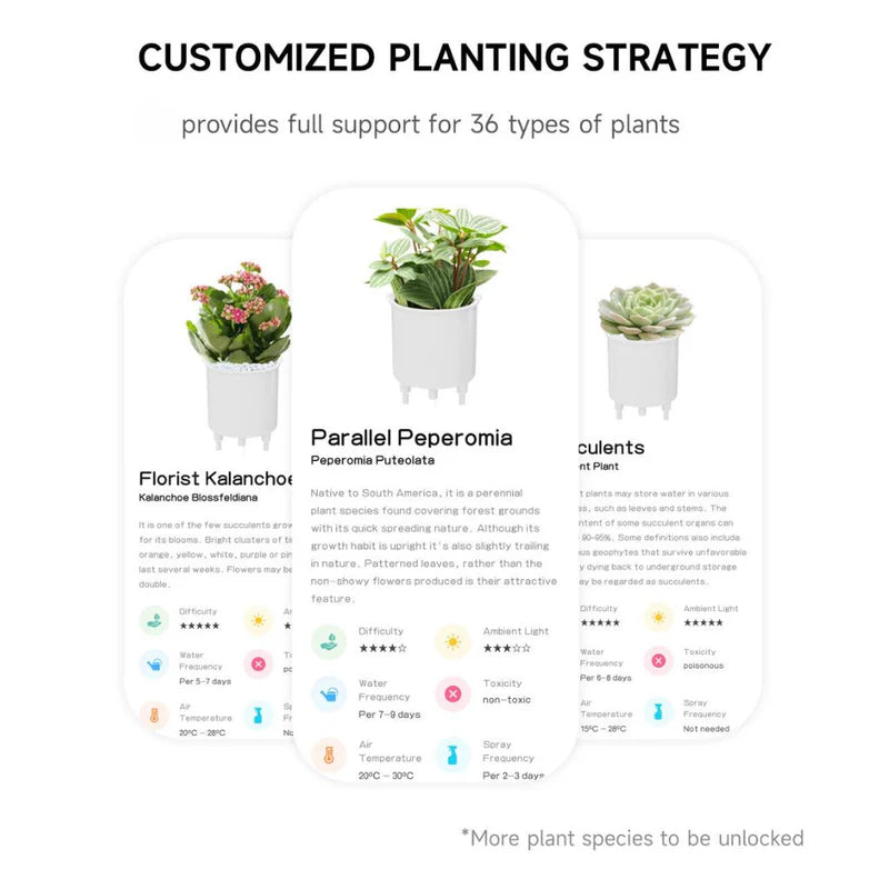 Ivy Smart pot