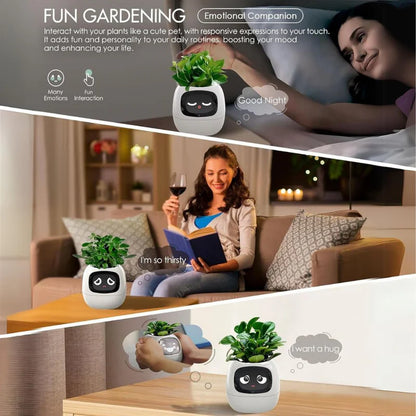 Ivy Smart pot