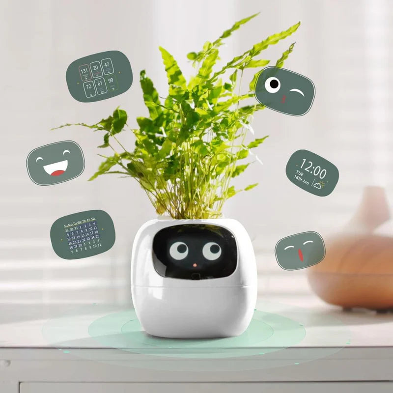 Ivy Smart pot