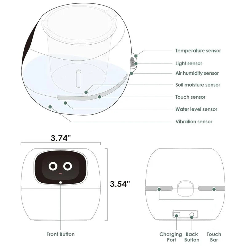 Ivy Smart pot